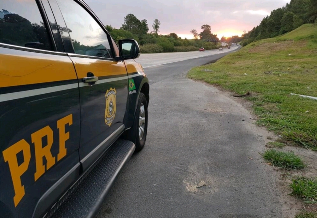 PRF prende homem por porte ilegal de arma e crime ambiental