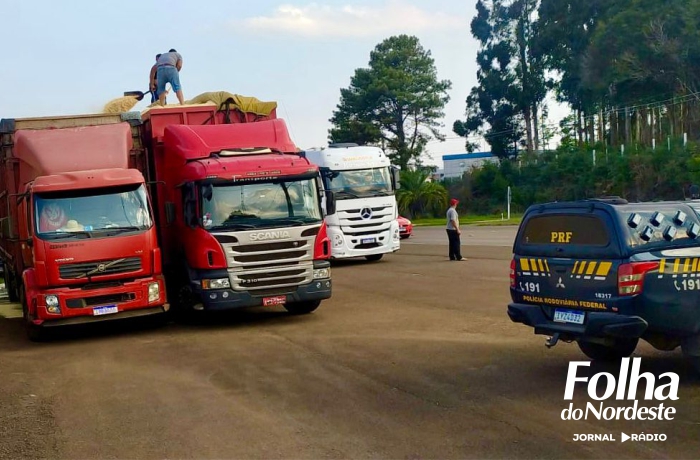 PRF flagra caminhões com excesso de peso em Lagoa Vermelha