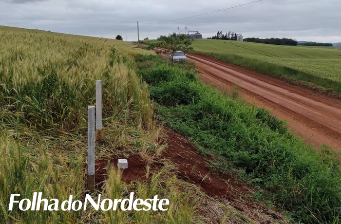 Machadinho/São José do Ouro: Rodovia começa a receber levantamentos de engenharia