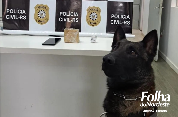 Polícia Civil deflagra Operação Ripresa para combater o tráfico de drogas na região de Nova Bassano
