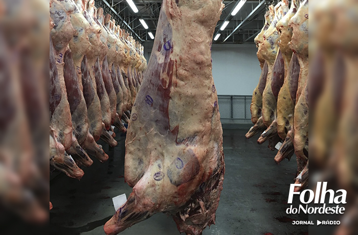 Concurso de Carcaça de Vacas Devon será destaque na 15ª Expoagro André da Rocha