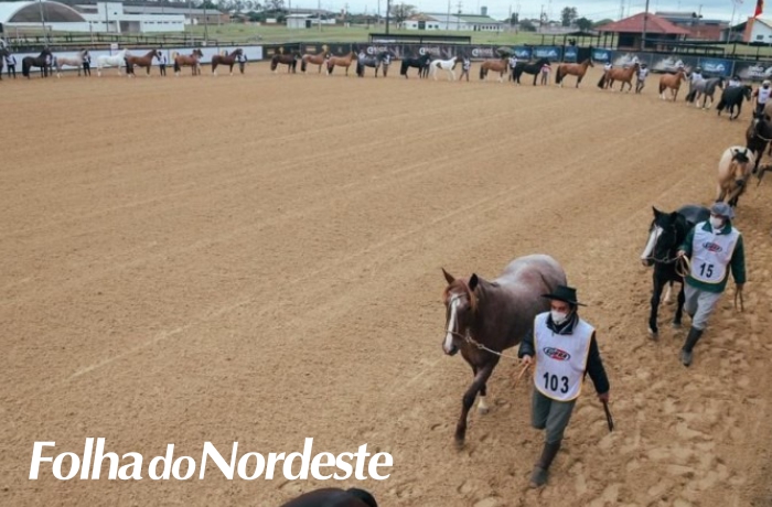 Expointer 2022 receberá mais de seis mil animais no parque Assis Brasil