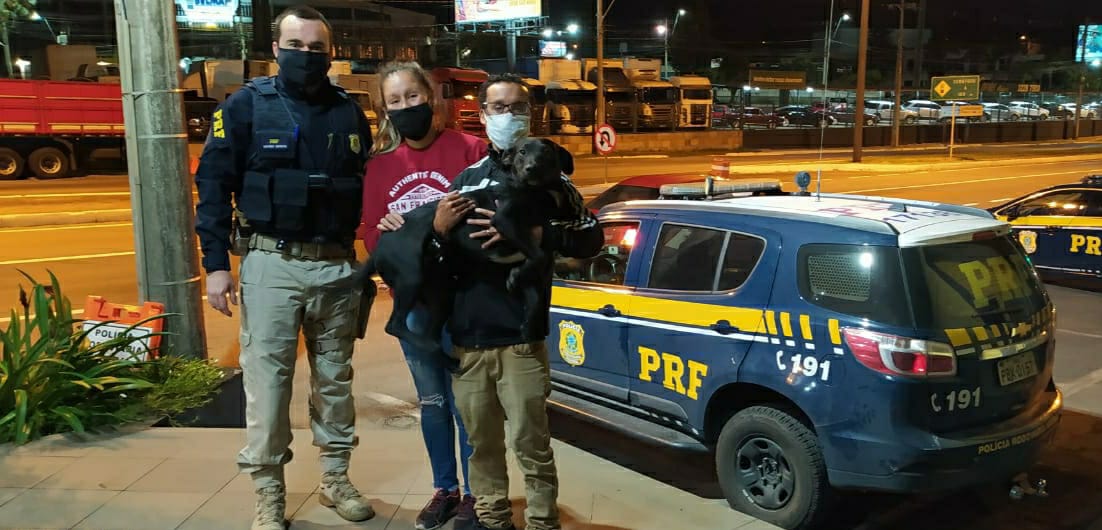 PRF encontra cãozinho perdido em Caxias do Sul