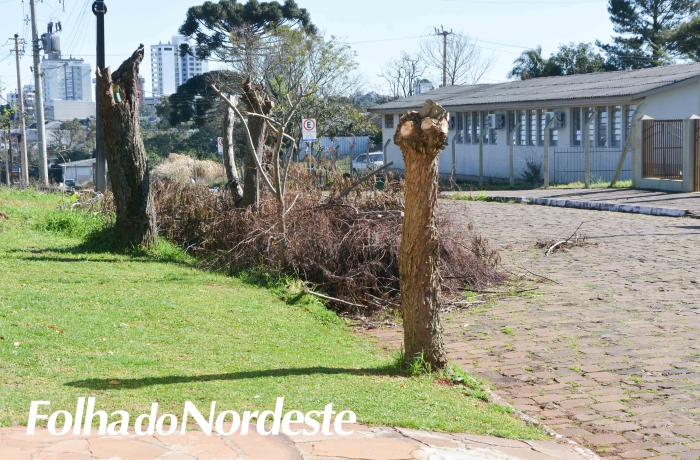 Poda de árvores públicas e recolhimento de galhos chega aos bairros Medianeira, Pajé e Industrial