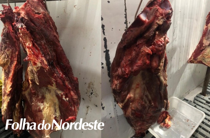 Carne clandestina é apreendida na região