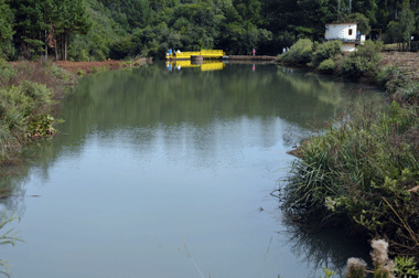 Estudo revela água contaminada por agrotóxicos em Lagoa Vermelha