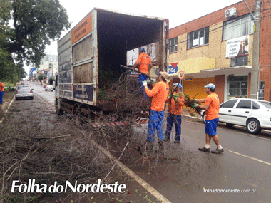 Depois do temporal, Codesa promove limpeza da Afonso Pena