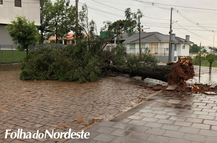 Temporal com vento de 130 km atinge Lagoa Vermelha