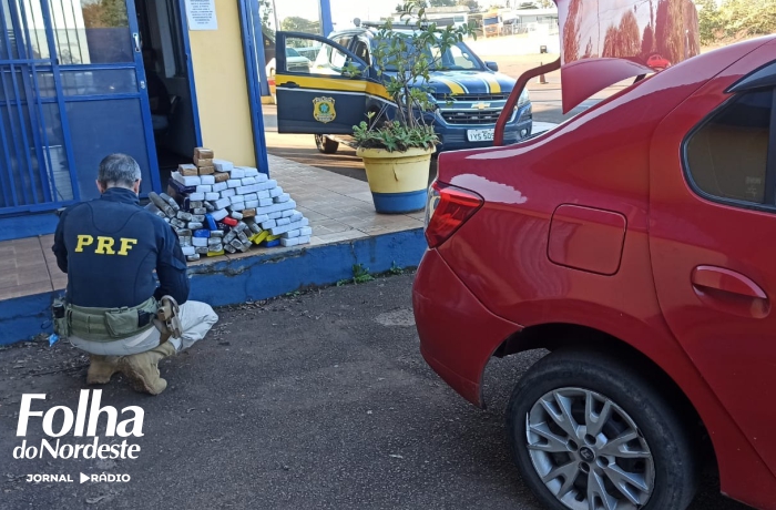 Polícia Rodoviária Federal prende motorista e apreende adolescente com 73 Kg de maconha na BR 386