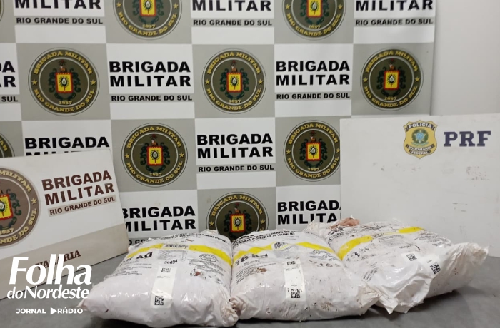 Nove presos por saque de carga de frango avaliada em R$ 160 mil na BR-285, em Muitos Capões