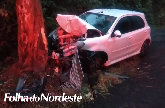 Veículo sai da pista e colide em árvore