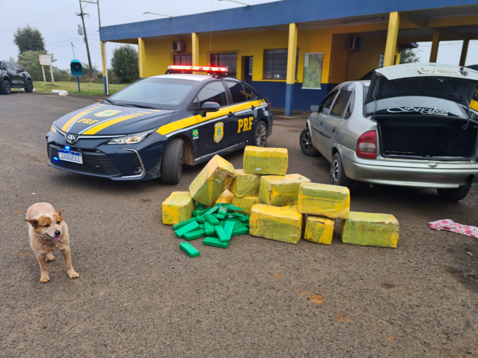 PRF apreende quase 250 quilos de maconha em Bom Jesus 
