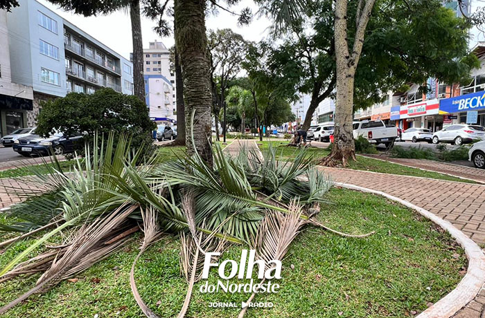 Cronograma de podas é ampliado e segue por mais uma semana na área central de Lagoa Vermelha