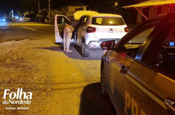 PRF prende casal com carro roubado
