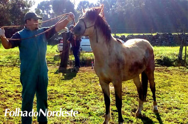 Capão Bonito do Sul: Secretaria da Agricultura oferece atendimento veterinário gratuito