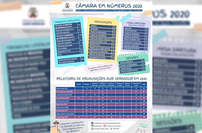 Poder Legislativo divulga o relatório anual Câmara em Números referente à 2020