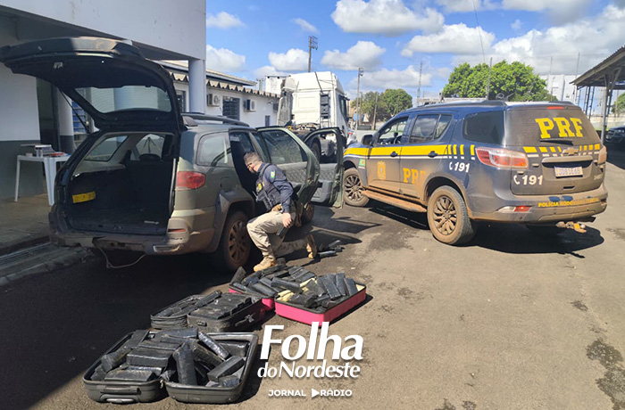 PRF prende quatro homens com 280 quilos de maconha na BR-116, em Caxias do Sul