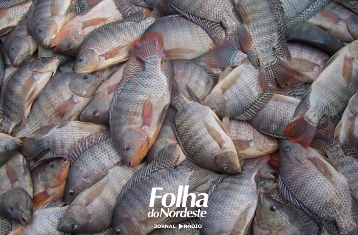 Feira do Peixe 2026 será realizada no dia 2 de abril em Ibiraiaras