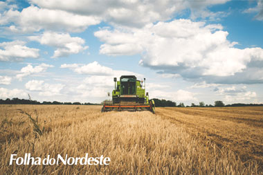 Secretaria da Fazenda vai realizar a revisão anual dos talões dos produtores