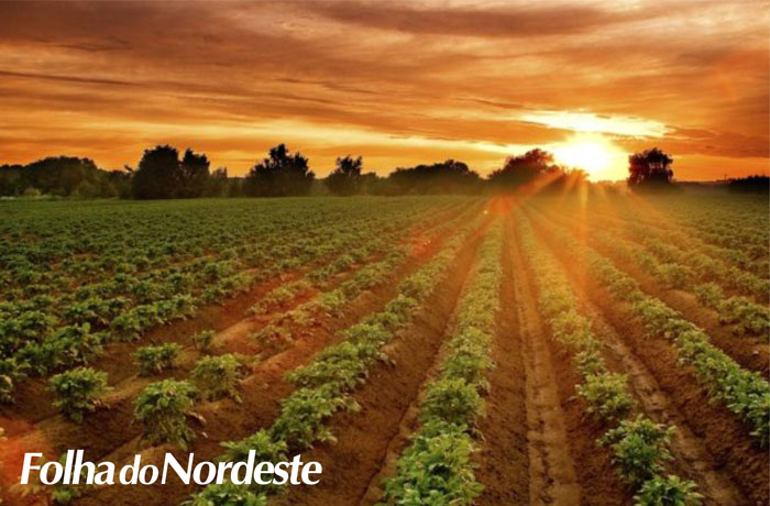 Produtores Rurais tem até segunda-feira para aderir ao Refis Rural