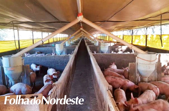 Sananduva: Infraestrutura Rural realiza melhorias viárias e de acesso a propriedades