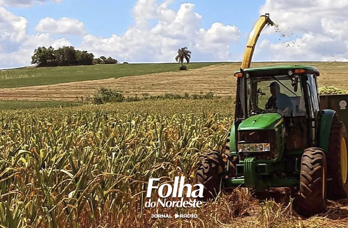 Secretaria de Agricultura e Meio Ambiente abre editais para impulsionar o desenvolvimento rural em Lagoa Vermelha