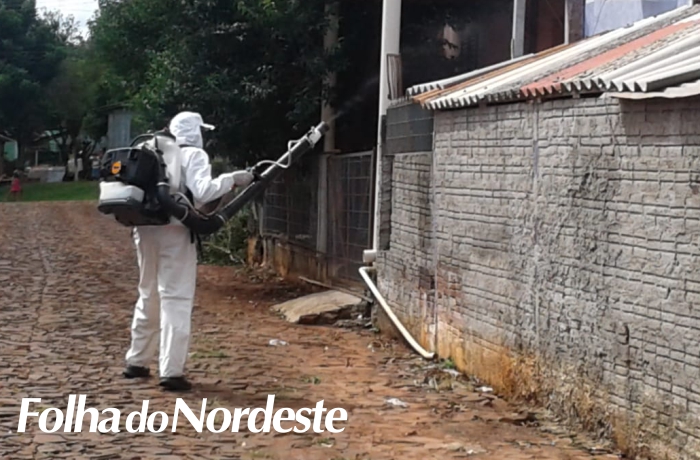 Diretriz para prevenção e controle da Dengue ocorre no Bairro Medianeira na tarde desta terça-feira, 29