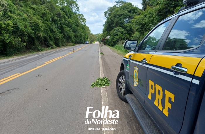 Saída de pista é registrada pela PRF na BR-116 em Campestre da Serra