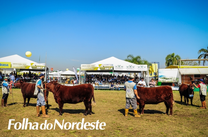ABCDB divulga programação para a Expointer 2022