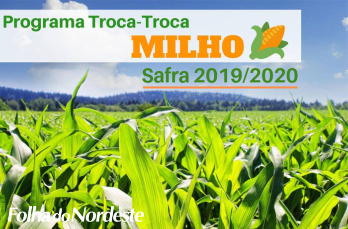 Capão Bonito do Sul: Secretaria da Agricultura inicia pré-agendamento do Troca-Troca de Milho