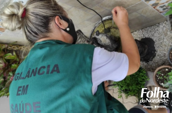 RS registra primeiro óbito por dengue em 2024