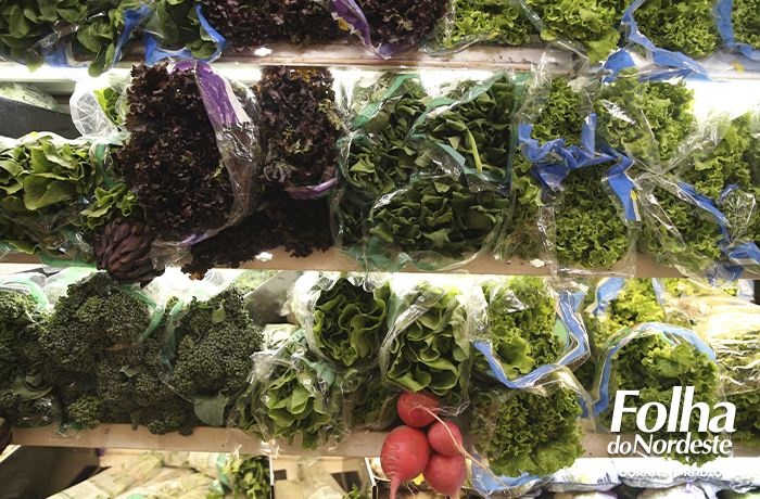 Boletim da Conab traz impactos das fortes chuvas na produção de frutas e hortaliças no Rio Grande do Sul