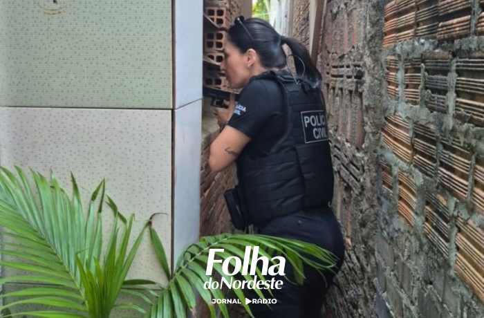Operação Carnaval Seguro prende 75 agressores e apreende 17 armas no RS