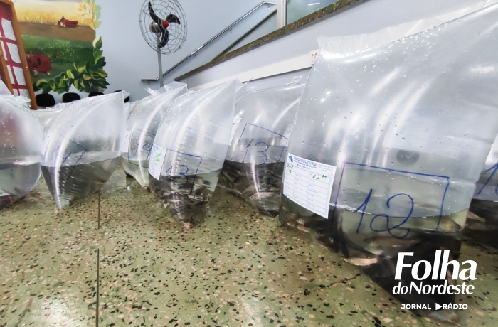 Prazo para pedidos de alevinos vai até dia 25 de fevereiro