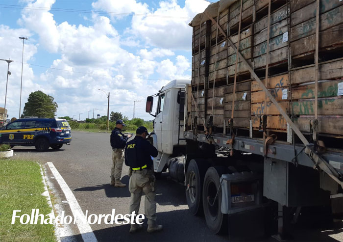 Caminhoneiros podem ser vacinados contra a gripe em unidades da PRF