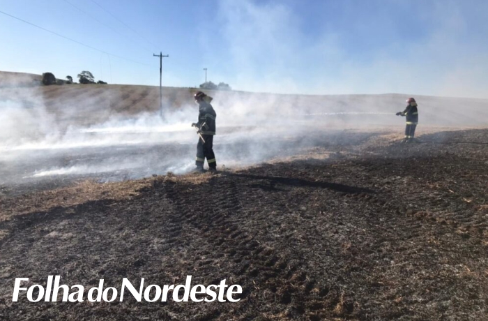 Bombeiros de São José do Ouro combatem incêndio ocasionado por queda de cabo de energia