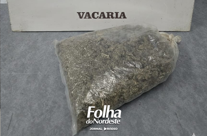 Brigada Militar prende homem por tráfico de drogas em Campestre da Serra