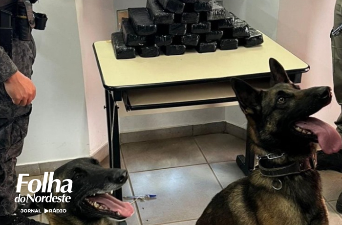 Brigada Militar apreendeu mais de 13 kg de maconha em área rural de Lagoa Vermelha
