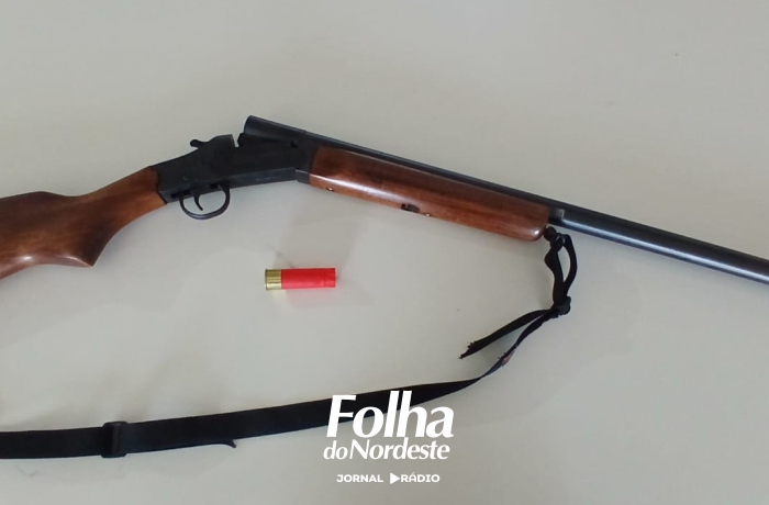 Brigada Militar prende homem por disparo de arma de fogo no interior de Sananduva