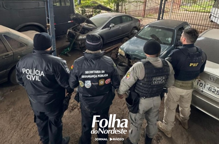 Operação Desmanche apreende 250 toneladas de sucatas automotivas em Frederico Westphalen