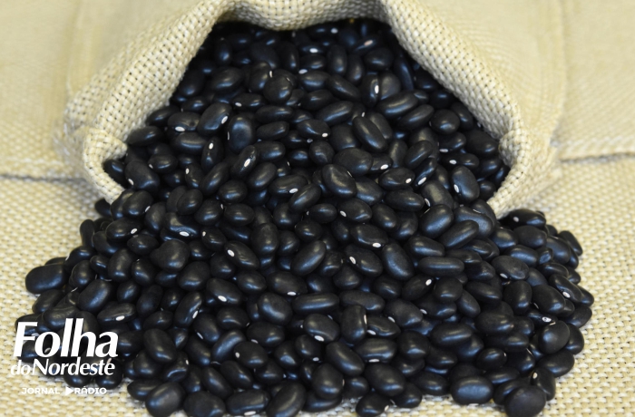 Agricultores familiares podem encaminhar propostas para compra e distribuição de sementes para Conab