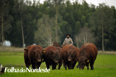 Campos de Cima da Serra recebe 3º Simpósio da Carne Devon