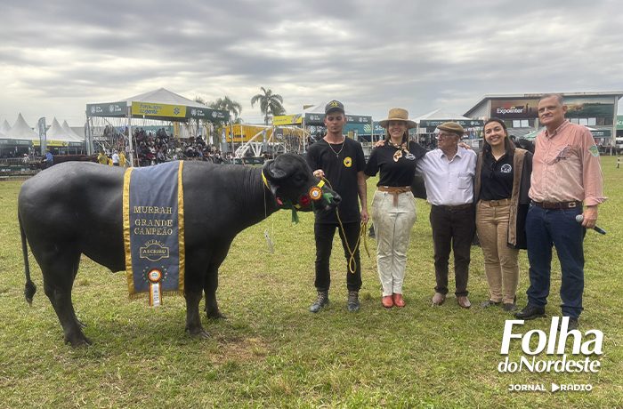 Julgamento de búfalos movimenta pista central da Expointer 2025 em Esteio