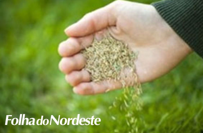 Patrulha agrícola de Caseiros realiza serviços no município