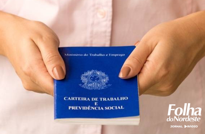 Prefeitura lança o Portal das Oportunidades com mais de 60 vagas de emprego em Lagoa Vermelha