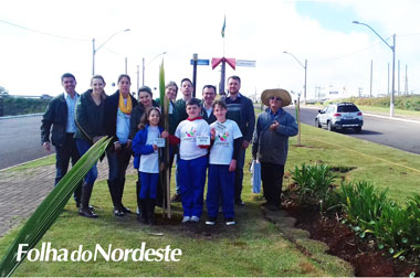 Alunos plantam mudas nativas em diversos pontos da cidade