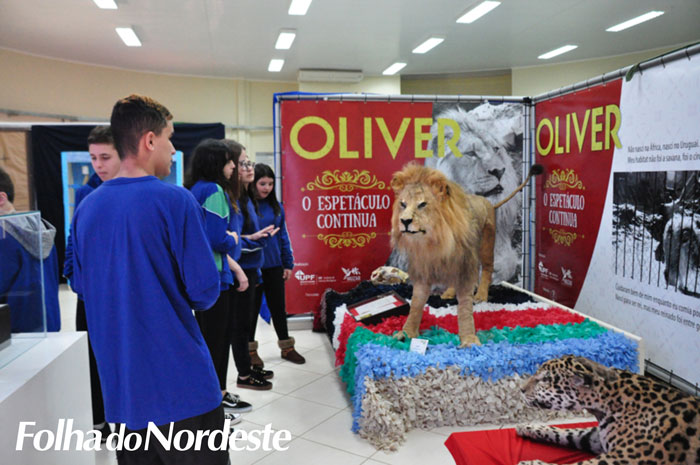 Os bastidores de um museu zoobotânico