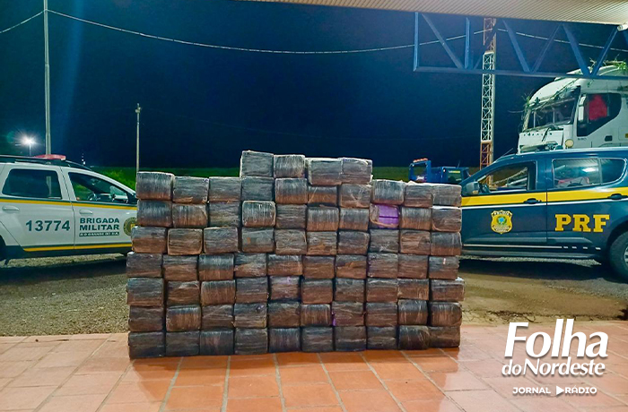 PRF apreende mais de uma tonelada de maconha em caminhão na BR-386