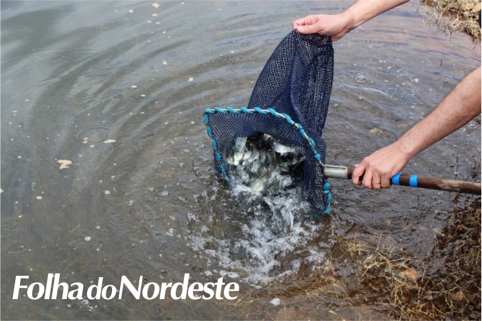Consórcio Machadinho realiza soltura de peixes no lago
