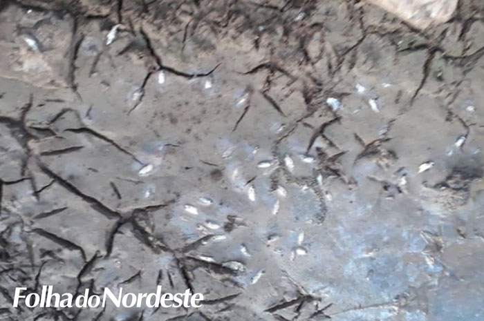 Capão Bonito do Sul decreta situação de emergência devido à estiagem